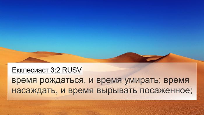 Екклесиаст 3:2 RUSV 4K Wallpaper - время рождаться, и время - 4K Wallpaper Bible Verse