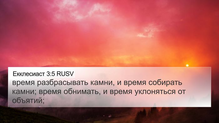 Екклесиаст 3:5 RUSV 4K Wallpaper - время разбрасывать камни, - 4K Wallpaper Bible Verse