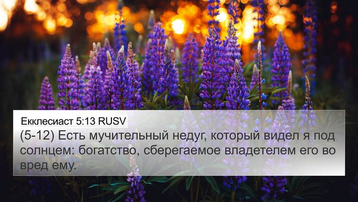 Екклесиаст 5:13 RUSV Bible Verse Image