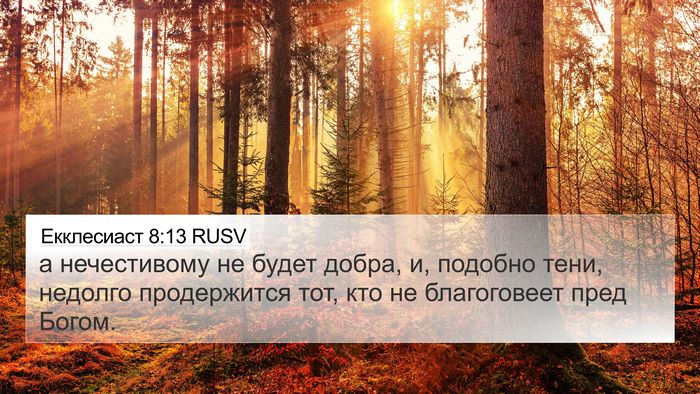 Екклесиаст 8:13 RUSV 4K Wallpaper - а нечестивому не будет - 4K Wallpaper Bible Verse