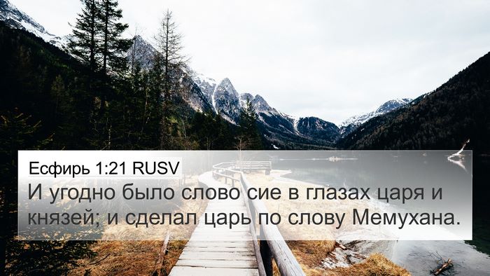 Есфирь 1:21 RUSV Bible Verse Image