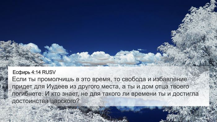 Есфирь 4:14 RUSV Bible Verse Image
