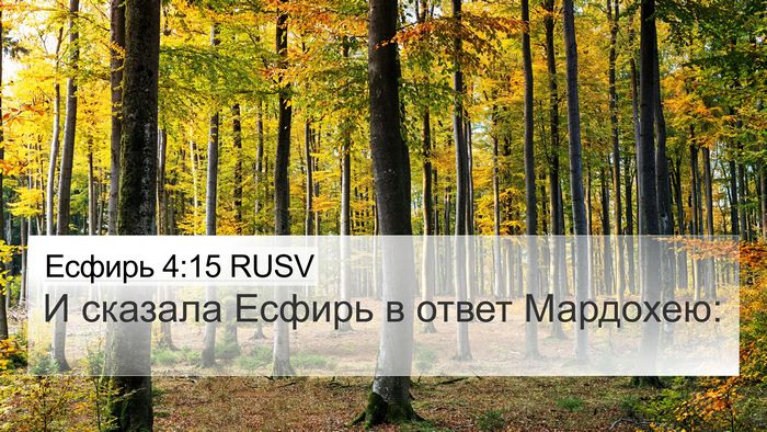 Есфирь 4:15 RUSV Bible Verse Image