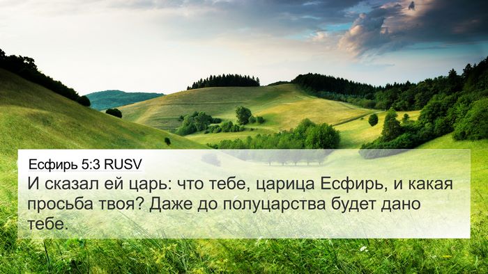 Есфирь 5:3 RUSV Bible Verse Image