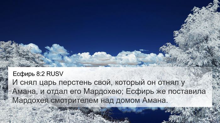Есфирь 8:2 RUSV Bible Verse Image