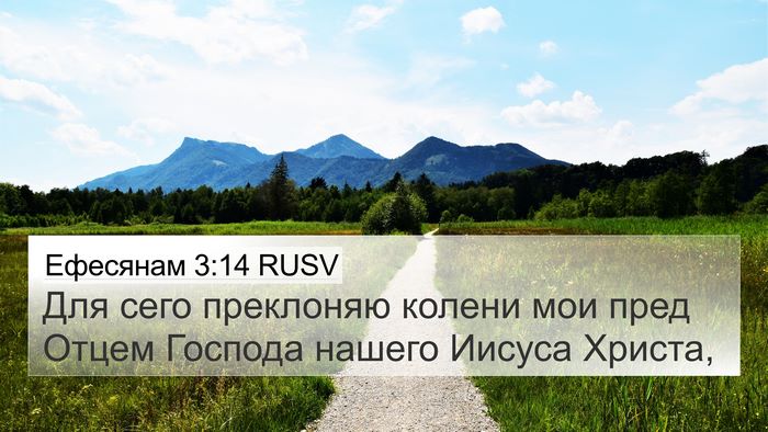 Ефесянам 3:14 RUSV Bible Verse Image