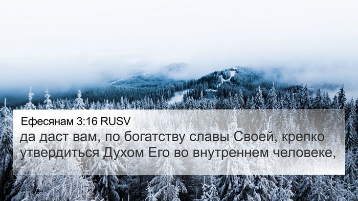 Ефесянам 3:16 RUSV Bible Verse Image