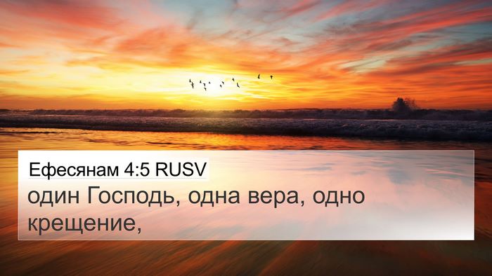 Ефесянам 4:5 RUSV Bible Verse Image