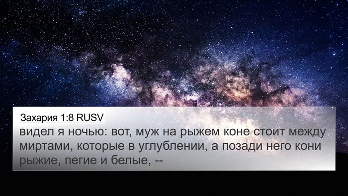 Захария 1:8 RUSV Bible Verse Image