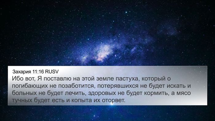 Захария 11:16 RUSV Bible Verse Image