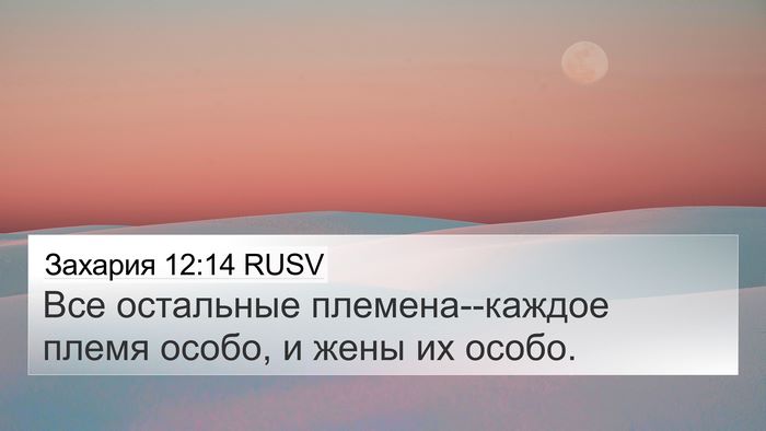 Захария 12:14 RUSV 4K Wallpaper - Все остальные - 4K Wallpaper Bible Verse