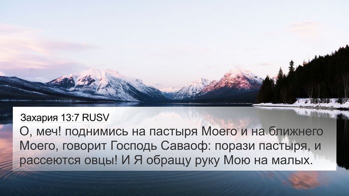 Захария 13:7 RUSV Bible Verse Image