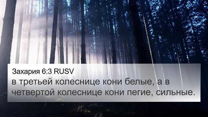 Захария 6:3 RUSV Bible Verse Image