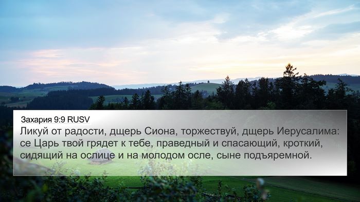 Захария 9:9 RUSV Bible Verse Image
