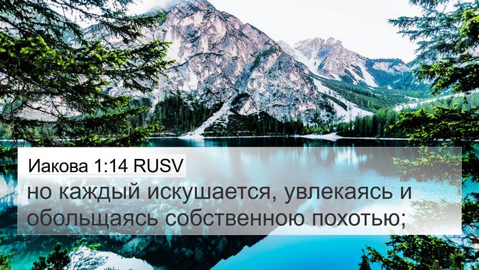 Иакова 1:14 RUSV Bible Verse Image