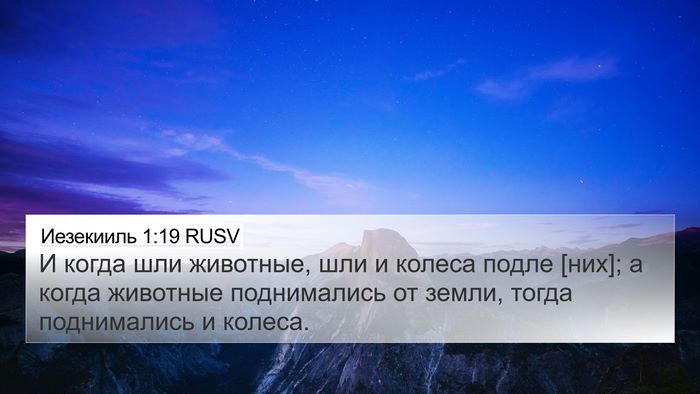 Иезекииль 1:19 RUSV Bible Verse Image