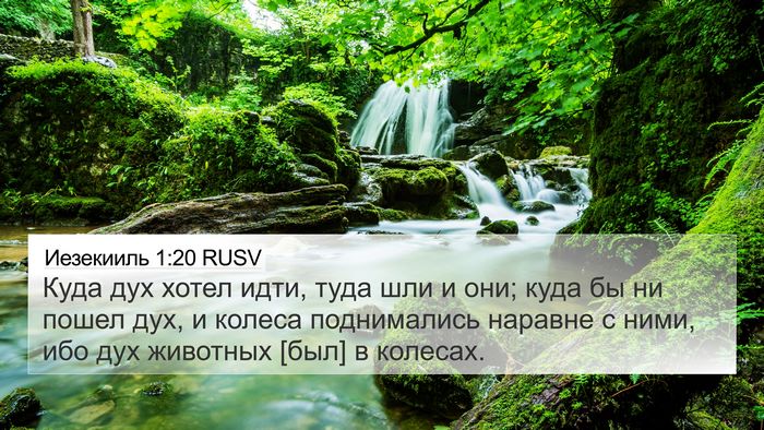 Иезекииль 1:20 RUSV Bible Verse Image