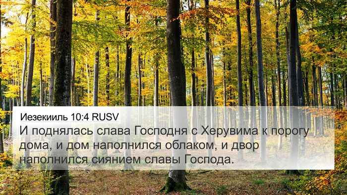 Иезекииль 10:4 RUSV Bible Verse Image