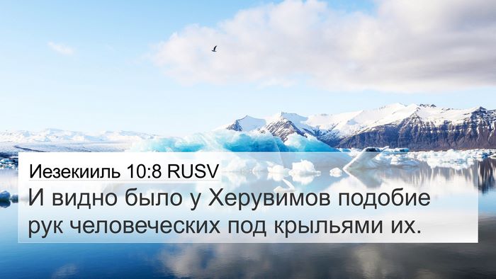 Иезекииль 10:8 RUSV Bible Verse Image