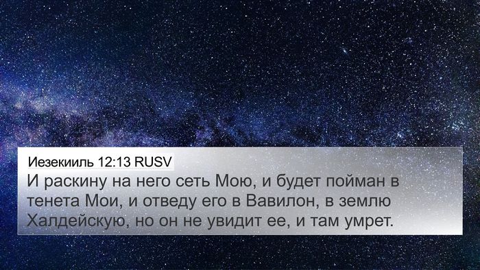 Иезекииль 12:13 RUSV Bible Verse Image
