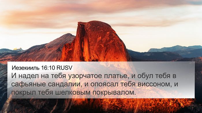 Иезекииль 16:10 RUSV Bible Verse Image