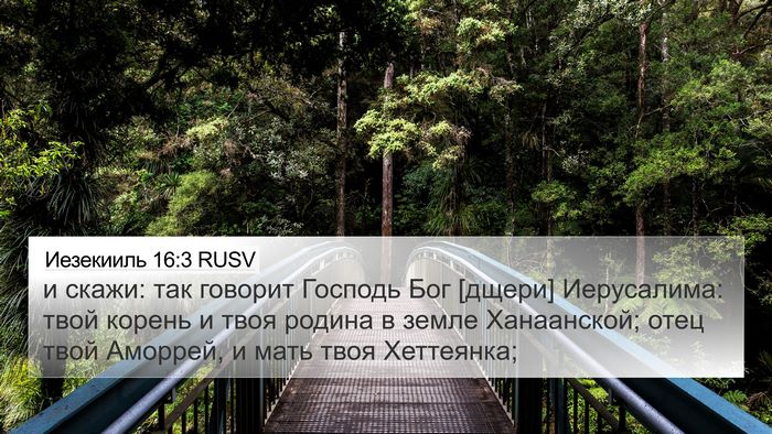 Иезекииль 16:3 RUSV Bible Verse Image