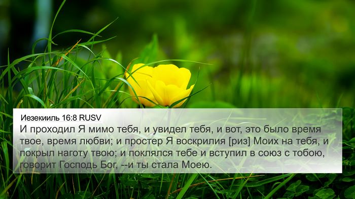 Иезекииль 16:8 RUSV Bible Verse Image