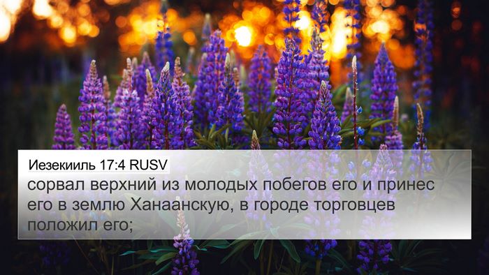 Иезекииль 17:4 RUSV 4K Wallpaper - сорвал верхний из молодых - 4K Wallpaper Bible Verse