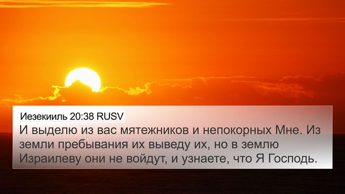 Иезекииль 20:38 RUSV Bible Verse Image