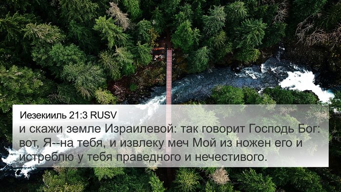 Иезекииль 21:3 RUSV Bible Verse Image