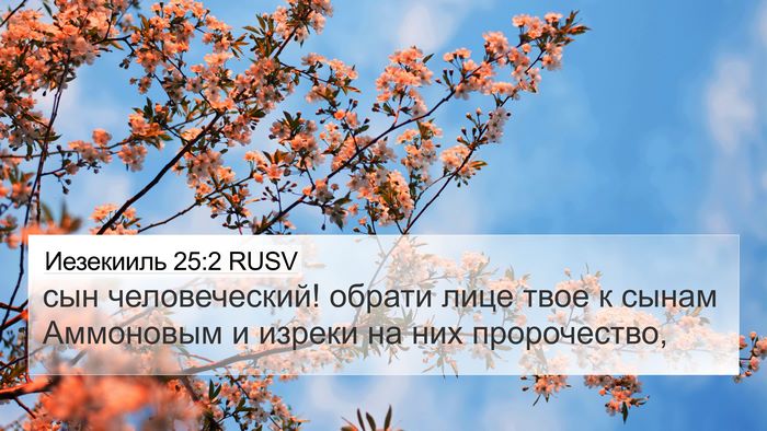 Иезекииль 25:2 RUSV Bible Verse Image