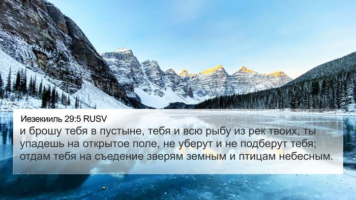Иезекииль 29:5 RUSV Bible Verse Image