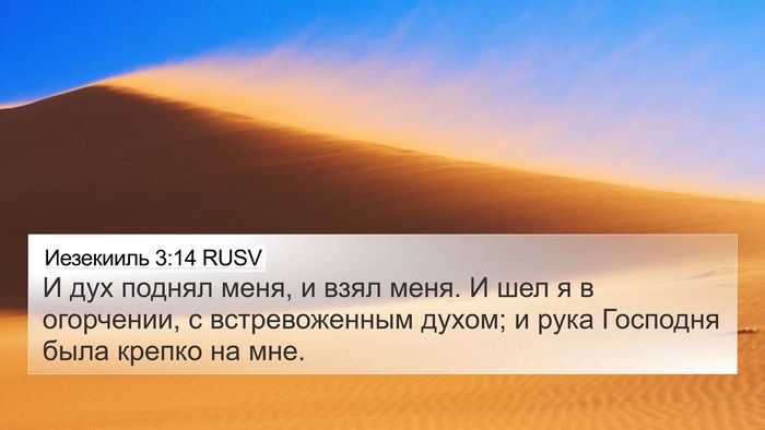 Иезекииль 3:14 RUSV Bible Verse Image