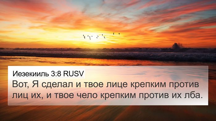 Иезекииль 3:8 RUSV Bible Verse Image