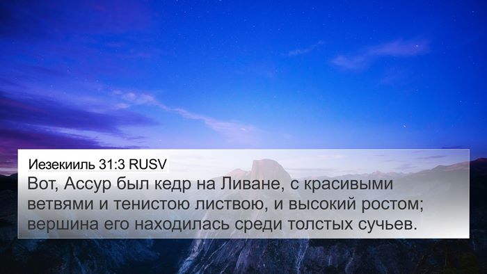 Иезекииль 31:3 RUSV Bible Verse Image