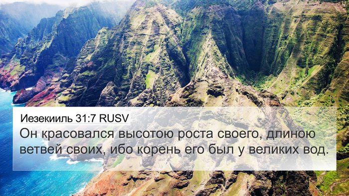 Иезекииль 31:7 RUSV 4K Wallpaper - Он красовался высотою - 4K Wallpaper Bible Verse