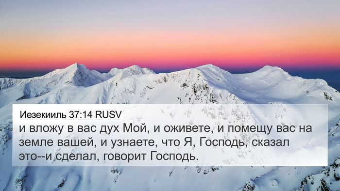 Иезекииль 37:14 RUSV Bible Verse Image