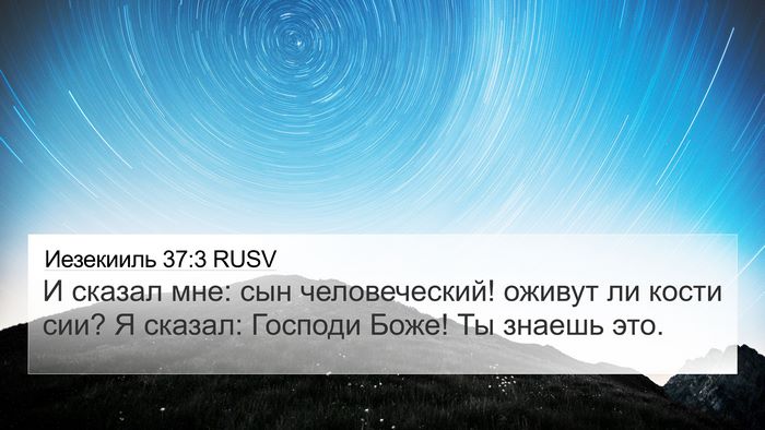Иезекииль 37:3 RUSV Bible Verse Image