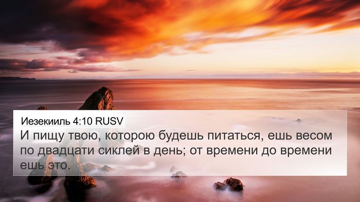 Иезекииль 4:10 RUSV Bible Verse Image