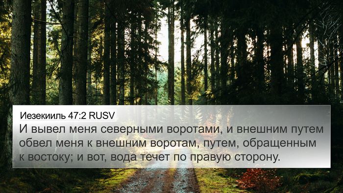 Иезекииль 47:2 RUSV 4K Wallpaper - И вывел меня северными - 4K Wallpaper Bible Verse