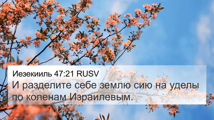 Иезекииль 47:21 RUSV 4K Wallpaper - И разделите себе землю сию - 4K Wallpaper Bible Verse