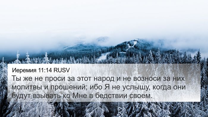 Иеремия 11:14 RUSV Bible Verse Image