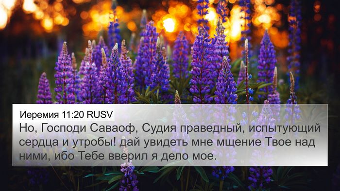 Иеремия 11:20 RUSV Bible Verse Image