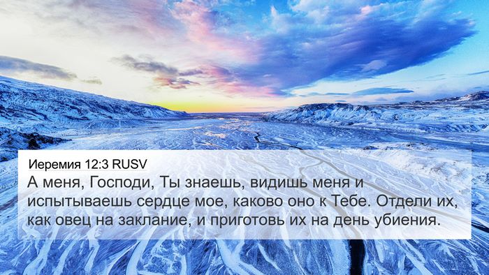 Иеремия 12:3 RUSV Bible Verse Image