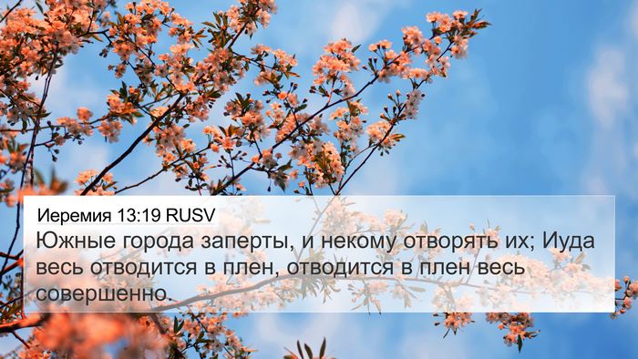 Иеремия 13:19 RUSV Bible Verse Image