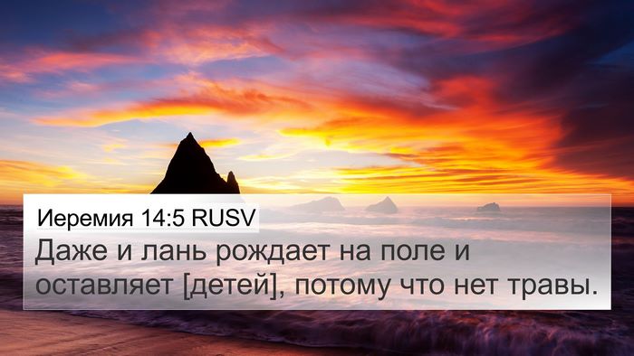 Иеремия 14:5 RUSV Bible Verse Image