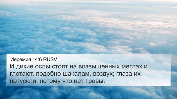 Иеремия 14:6 RUSV Bible Verse Image