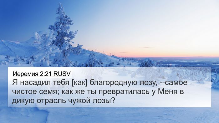 Иеремия 2:21 RUSV Bible Verse Image