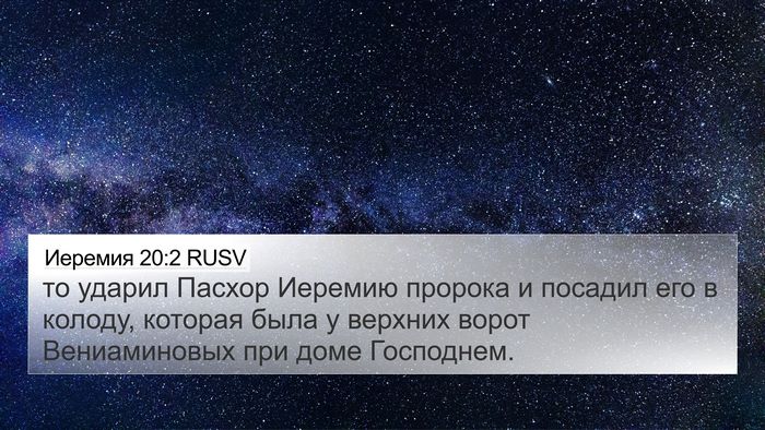 Иеремия 20:2 RUSV Bible Verse Image