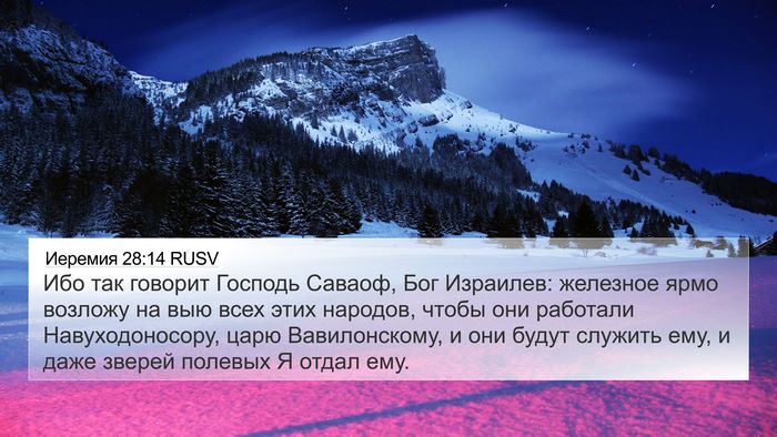 Иеремия 28:14 RUSV Bible Verse Image